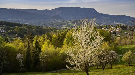 Blick auf den Schöckl | © Region Graz | Pixelmaker