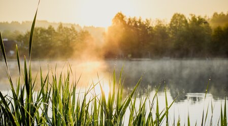 Sommer in der Region Graz | © TV Region Graz | Mias Photoart