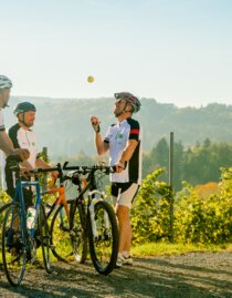 Bike break at Höfer in Weinitzen