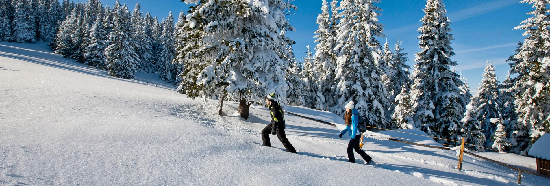 Schneeschuhwandern | © TV Region Graz | Tom Lamm