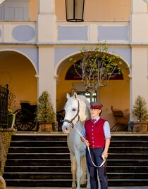 Lipizzanergestüt Piber