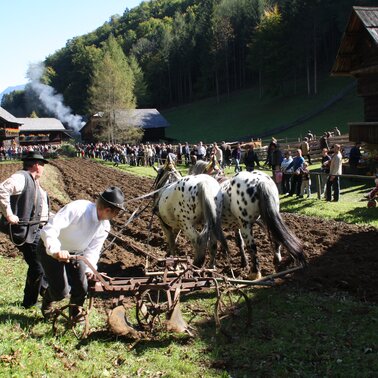 Österreichisches Freilichtmuseum Stübing