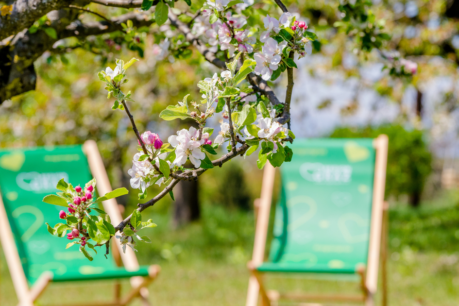 Springtime | © TV Erlebnisregion Graz | Mias Photoart