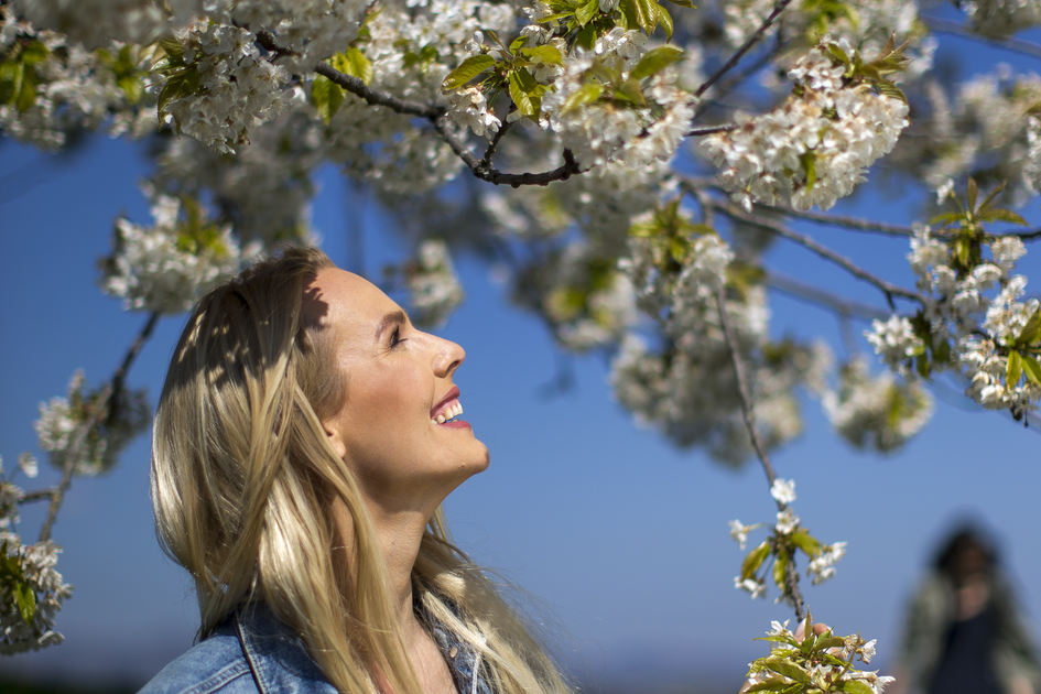 Spring in the Graz Region | © TV Erlebnisregion Graz | Tom Lamm