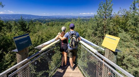 Blick vom Buchkogel | © TV Region Graz | Harry Schiffer