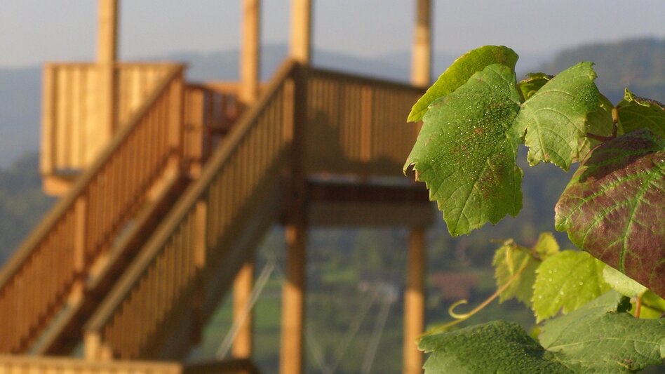 Die Weinbergwarte Deutschlandsberg umringt von Weinbergen