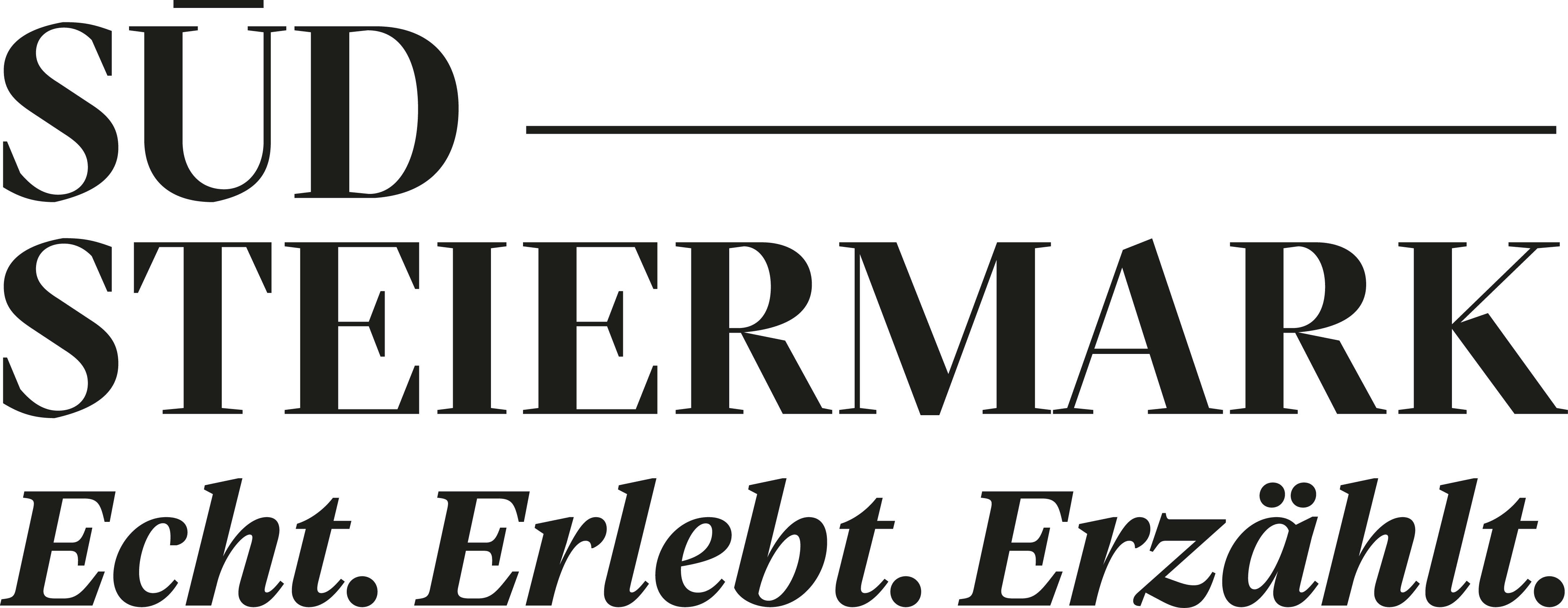 sr.Navbar Logo Positive