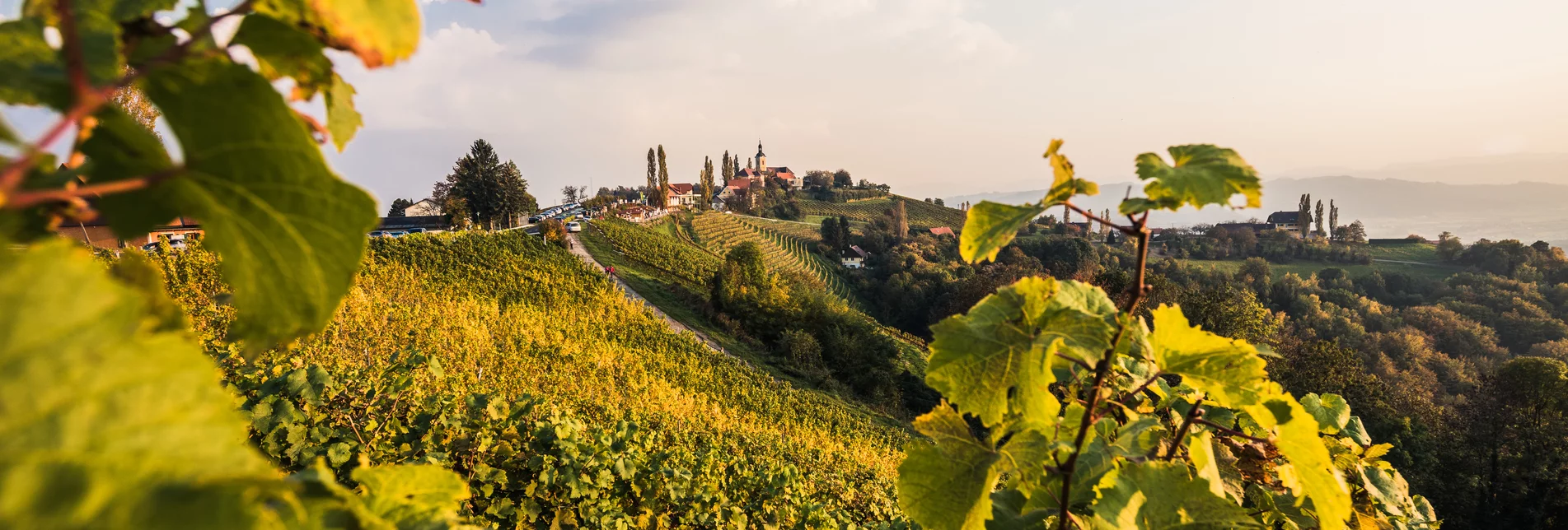 Blick auf Kitzeck an der Sausaler Weinstraße | © TVB Südsteiermark | Iris Kavka