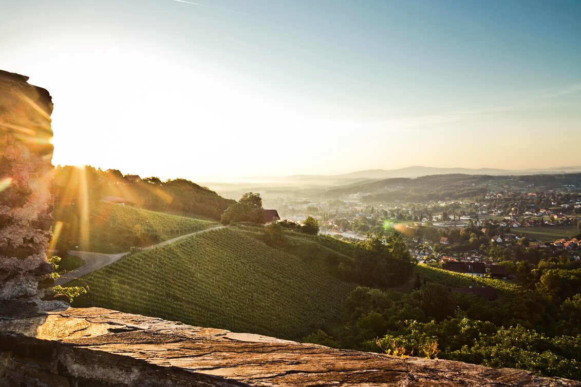 Blick von der Burg Deutschlandsberg auf die Stadt und die umliegenden Weingärten