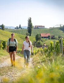 Wandern in der Südsteiermark