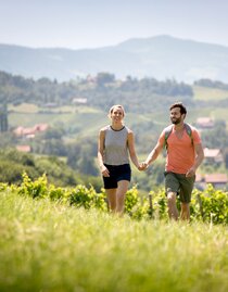 Pärchen wandern Hand in Hand im Weingarten