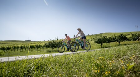 Radtour an der Weinstraße | © TV Südsteiermark | Tom Lamm