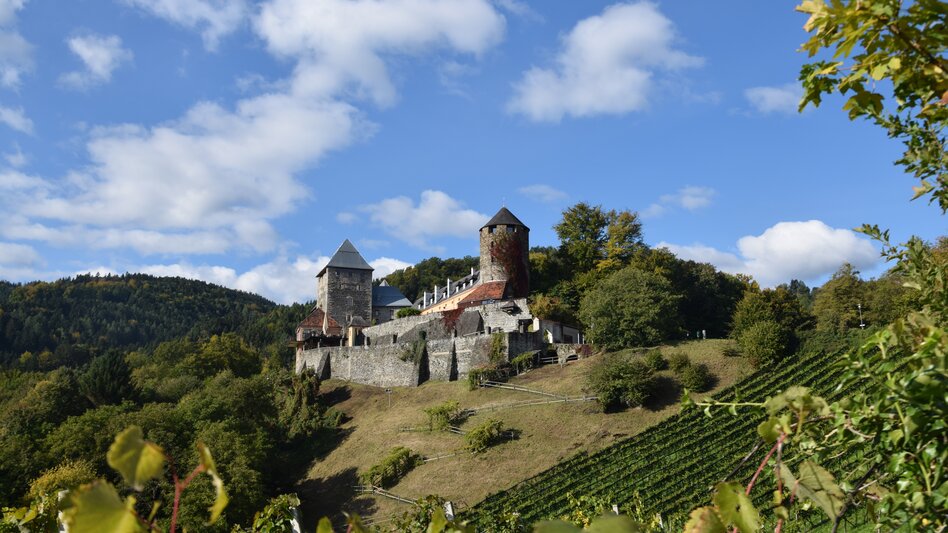 Mittelalterliche Burg auf einem Hügel
