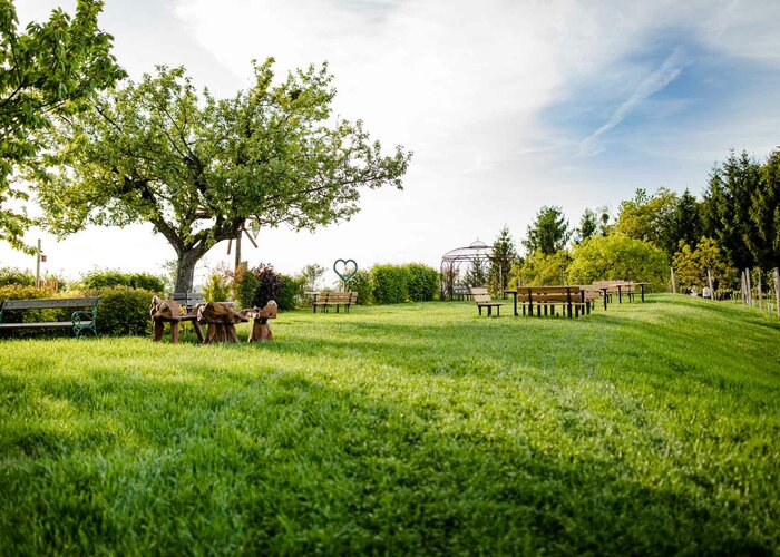 Am Rebkogel beim Weingut Tinnauer | © Weingut Tinnauer | Karin Bergmann