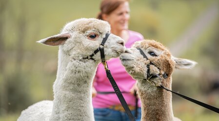 © Alpfox | Sternenglückfotografie
