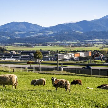 Red Bull Ring Sustainability