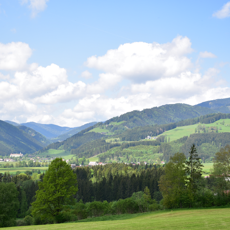 Kühbrein-View Applegarden | © Erlebnisregion Murtal | Erlebnisregion Murtal