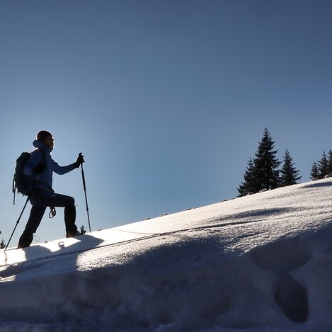 Snowshoe Hiking on the Rosenkogel | © Weges OG | WEGES OG