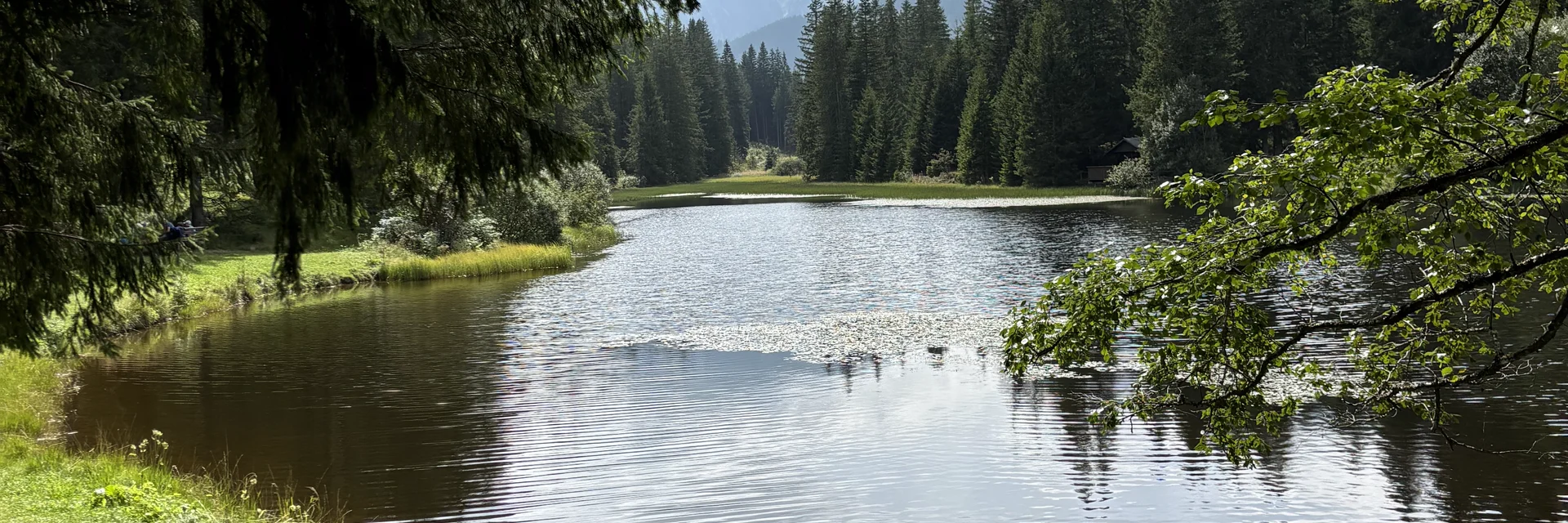 Weberteich - Hohentauern | © Erlebnisregion Murtal | Selina Senft