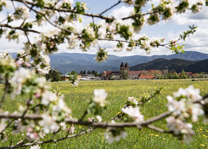 Spring Abbey Seckau