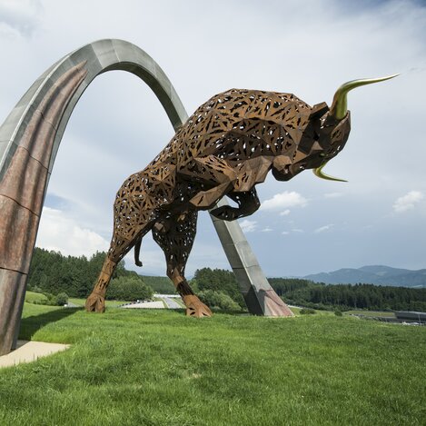 bull on the ring | © Philip Platzer | TV Murtal
