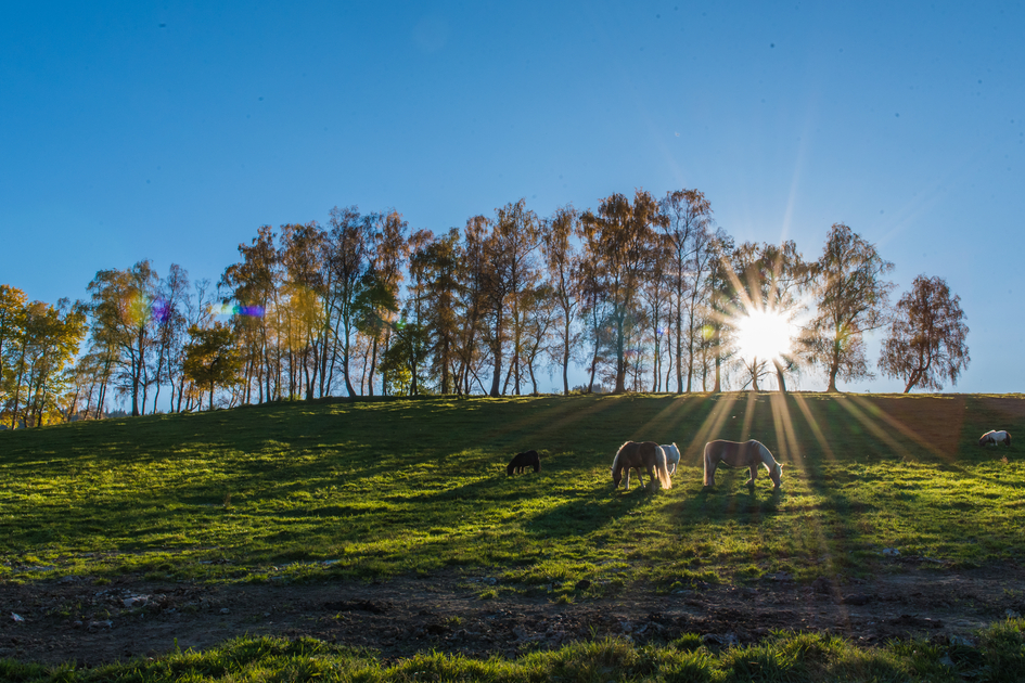 © Anita Fössl  | Erlebnisregion Murtal