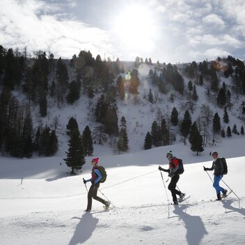 Schneeschuhwandern im Murtal – Steiermark