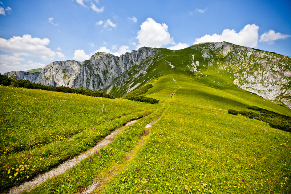 © TV Hochsteiermark | Tom Lamm