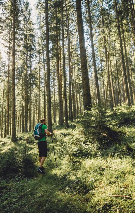 Wanderer spaziert mit Wandernstöcken durch den Wald