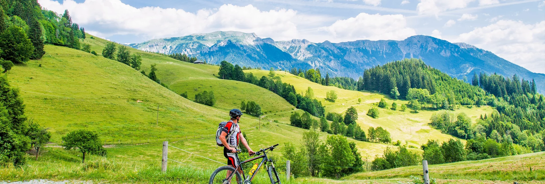 MTB Falkenstein | © Naturpark Mürzer Oberland | nicoleseiser.at MTB Falkenstein | © Naturpark Mürzer Oberland | nicoleseiser.at