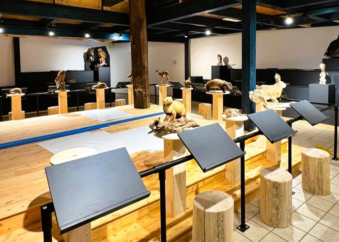 Exhibition NaturErlebnisMuseum - nature4future | © Naturpark Mürzer Oberland | Naturpark Mürzer Oberland