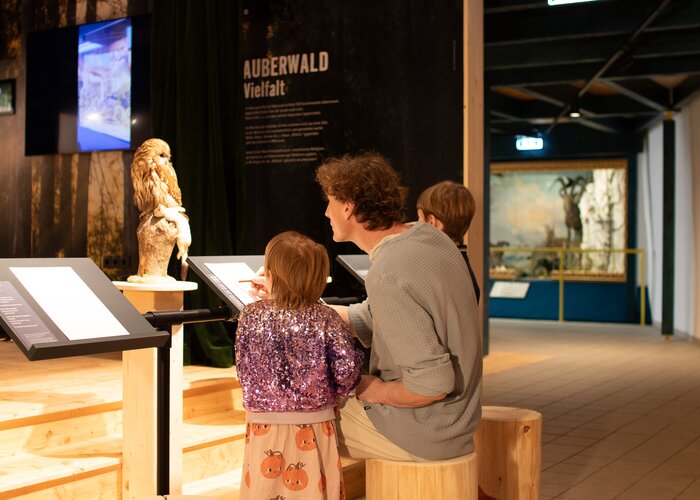 Familienzeit im NaturErlebnisMuseum  | Michael Koopmans