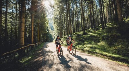 E-Biken Stuhleck | © TV Hochsteiermark | nicoleseiser.at