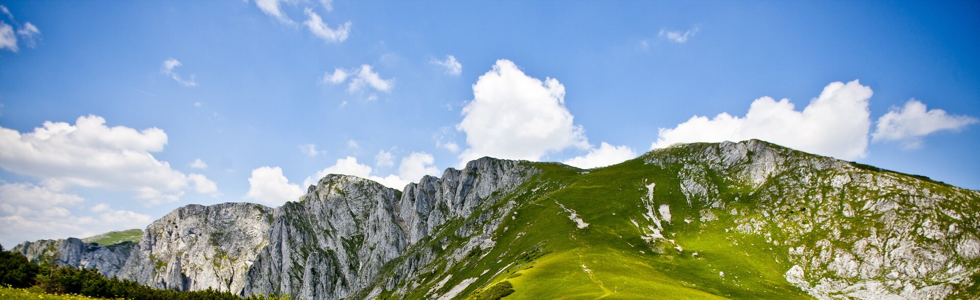 Ein Trampelpfad, Almwiese und ein Bergmassiv