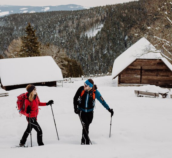 Winterwandern Alpl | © TV Hochsteiermark | nicoleseiser.at