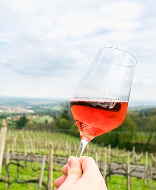 Schilcherweingut Friedrich Schilcher im Glas - Stainzerhof | © Schilcherweingut Friedrich