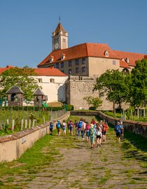 © Die Riegersburg | Rudi Ferder