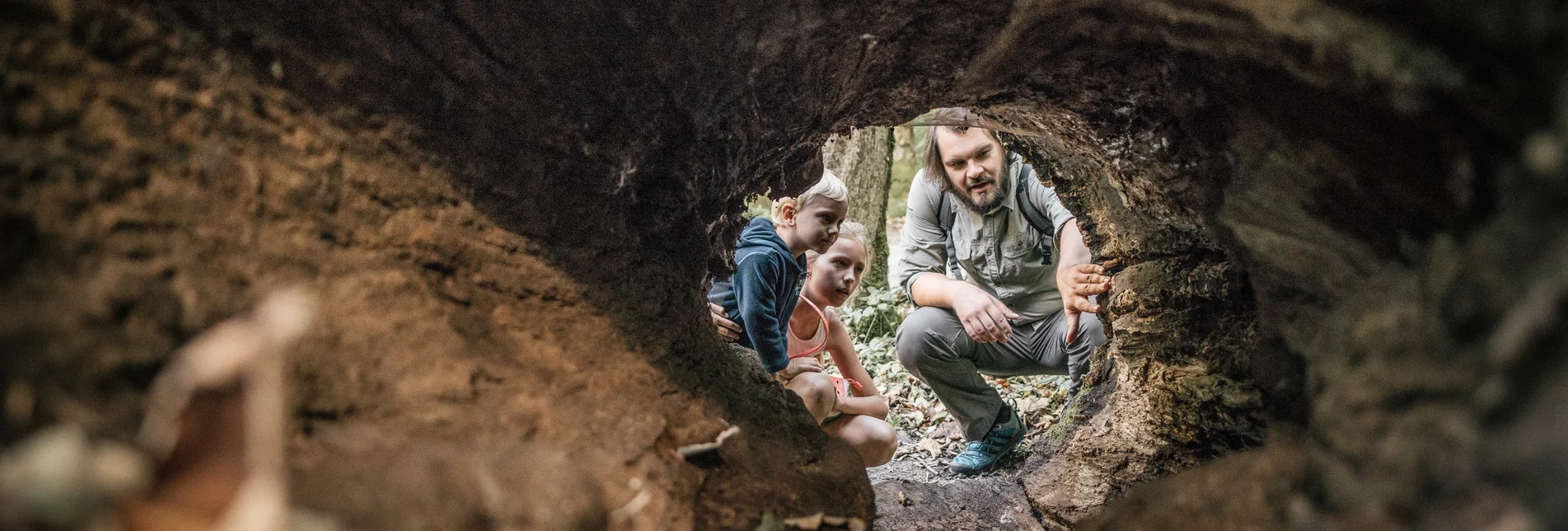 PackageWalderlebnis - Den Wald mit allen Sinnen erleben | © Nationalpark Gesäuse