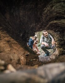 Nationalpark entdecken | Stefan Leitner | © Nationalpark Gesäuse