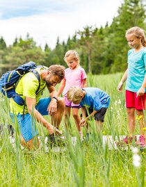 Moorwanderung | Mediadome | © Naturpark Zirbitzkogel-Grebenzen