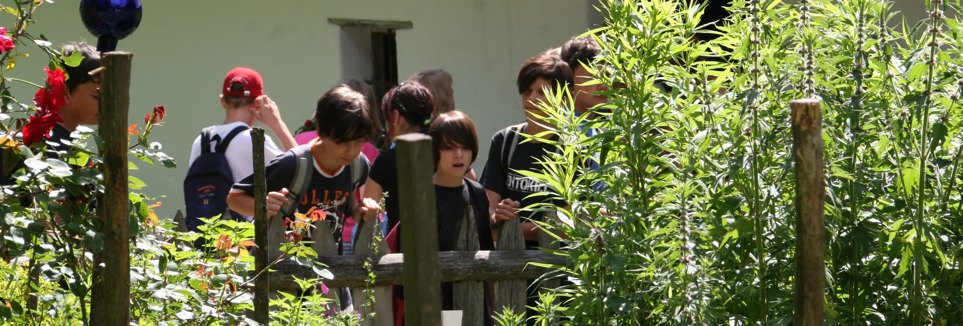 PackageDiscovering the mysterious - Austrian Open-Air Museum Stübing