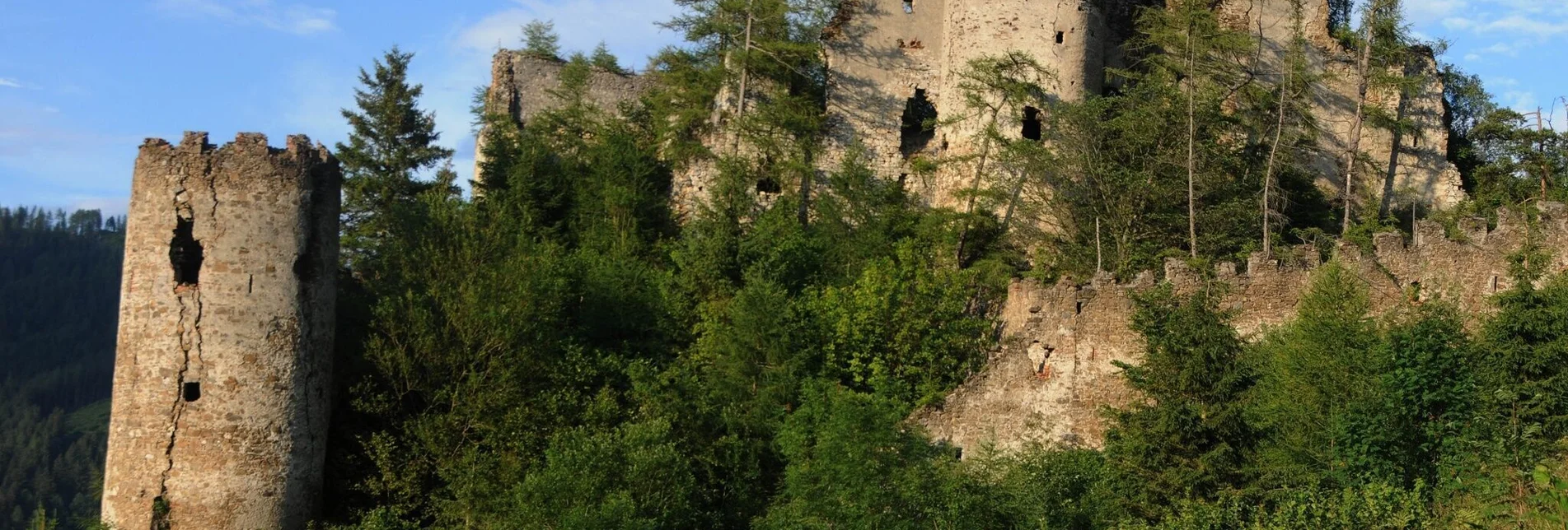 Hiking route Reifenstein ruins - Touren-Impression #1 | © Tourismusverband Pölstal- Gemeinde Pöls