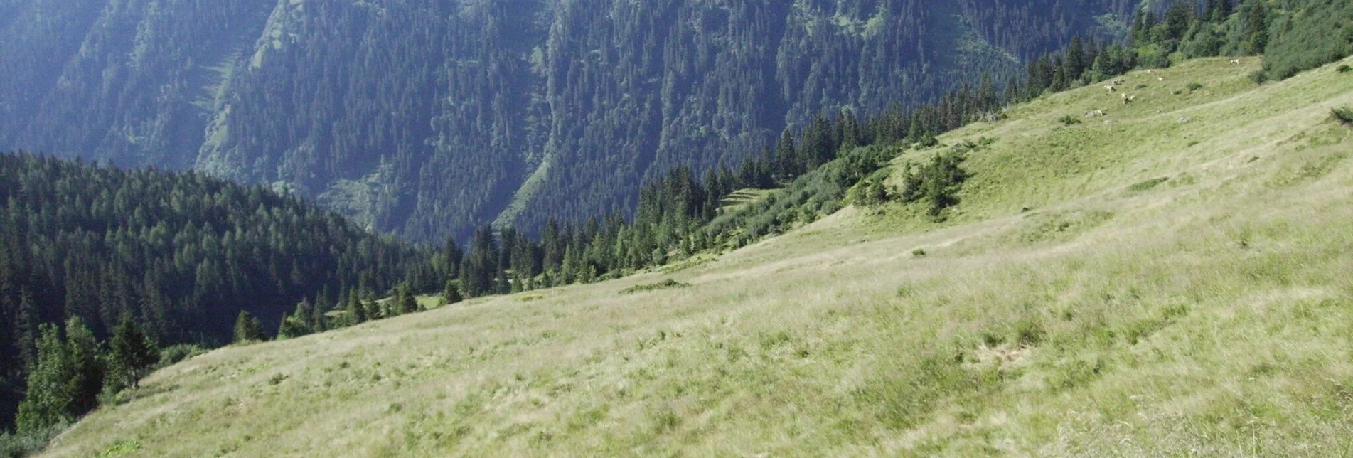 Hiking route Seitnerzinken - Touren-Impression #1 | © Erlebnisregion Murtal