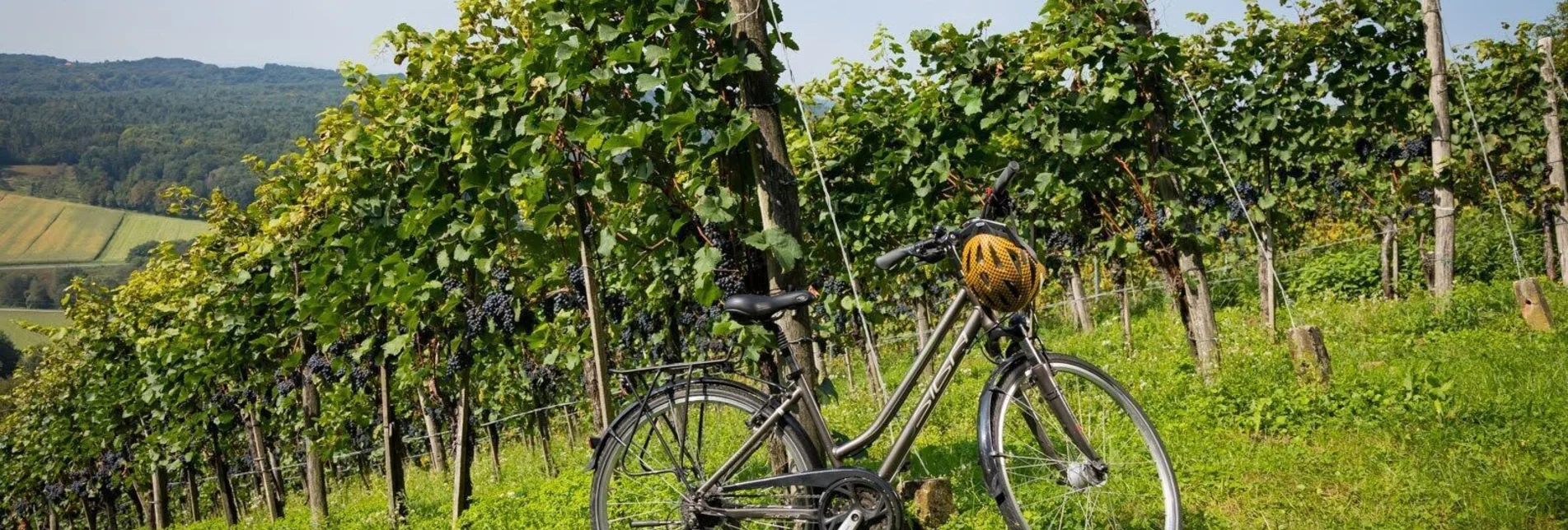 Radfahren Kraftquellen-Tour - Touren-Impression #1 | © Werner Krug