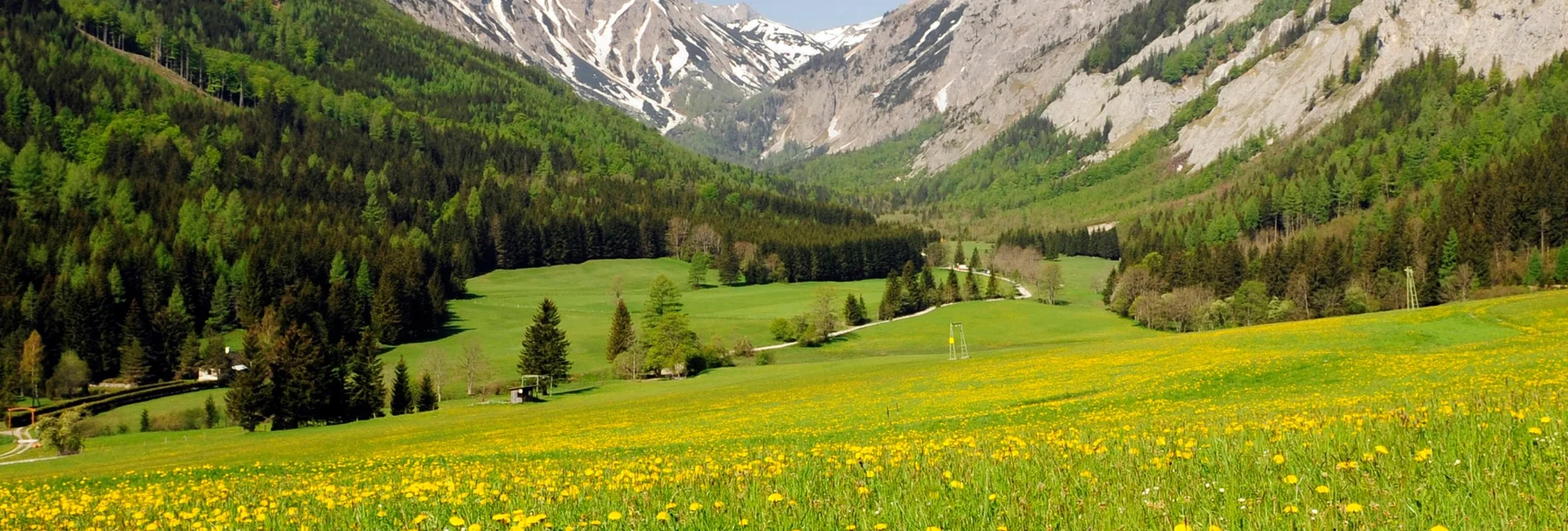 Wanderung Etappe 16 Vom Gletscher zum Wein Nordroute Seewiesen - Veitsch Graf Meran Haus - Touren-Impression #1 | © Steiermark Tourismus/Gery Wolf