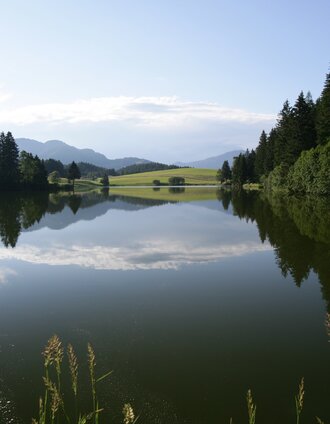 Unzählige Seen und Teiche sind im Naturpark beheimatet | Harry Schiffer | © Steiermark Tourismus/Harry Schiffer