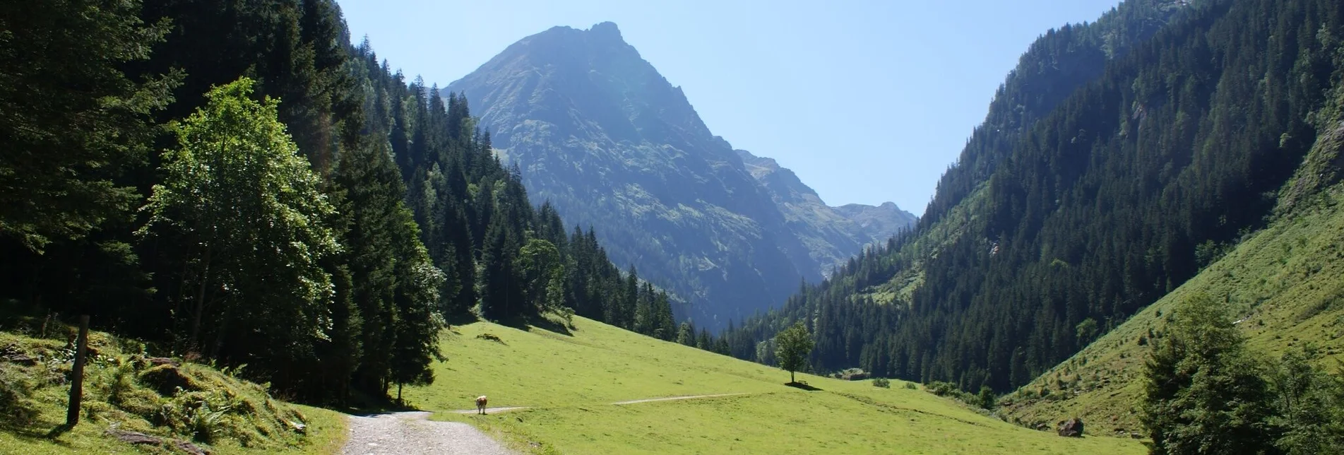 Hiking route Gollinghütte chalet and Gollingwinkel in Steinriesental valley - Touren-Impression #1 | © Gerhard Pilz