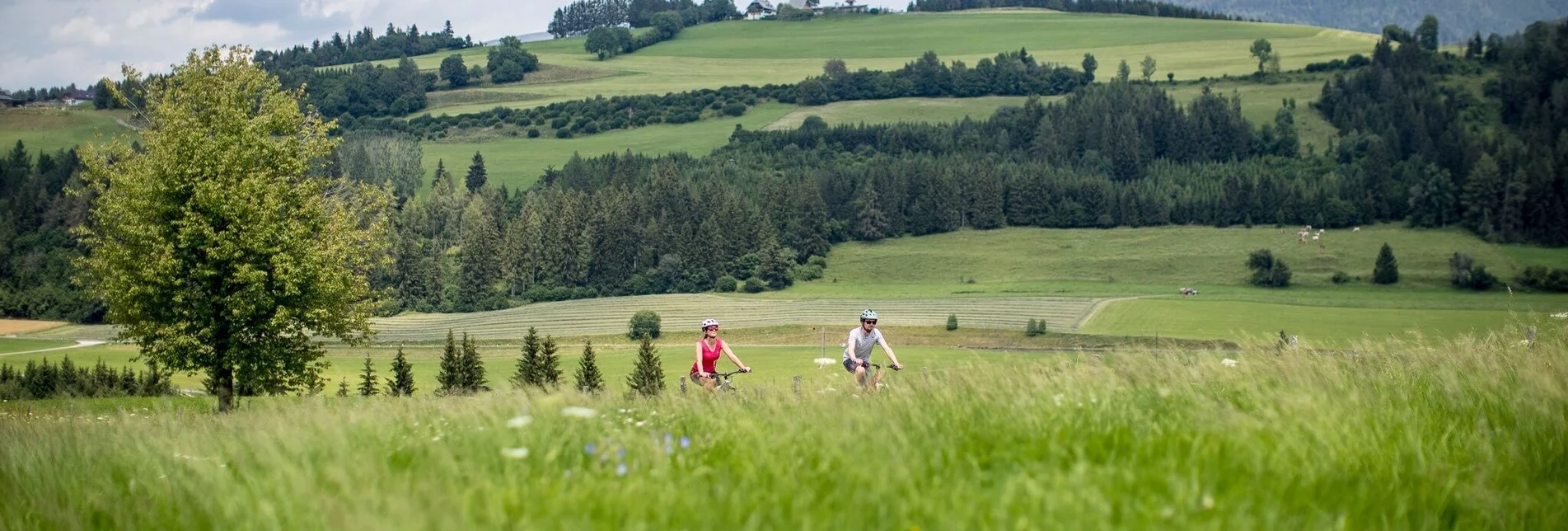 Bike Riding Neumarkt cycle path - R18 - Touren-Impression #1 | © Tourismusverband Murau