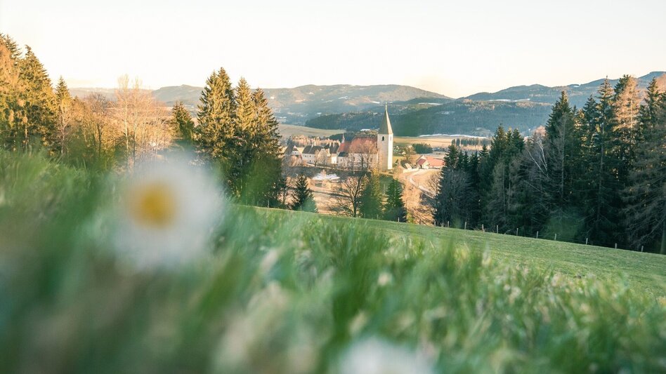 Mountain Biking Via Natura cycle path stage 7 - Touren-Impression #2.2 | © Tourismusverband Murau