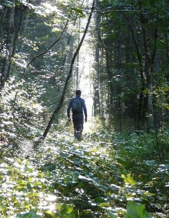 Anmarsch durch den Feenwald | © Ausseerland